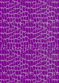 (Reitaisai 8) [Aimaimoko (Moko)] Prince Tenko wa Hatsujouki (Touhou Project) [English] [darknight]