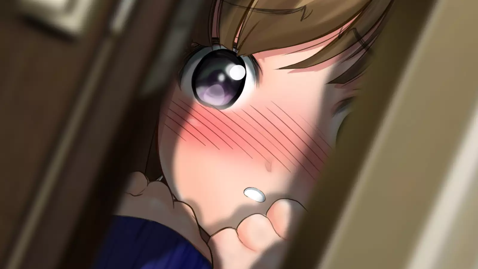 Dohentai ni sareteyuku seijyunshimai no dosukebe monogatari