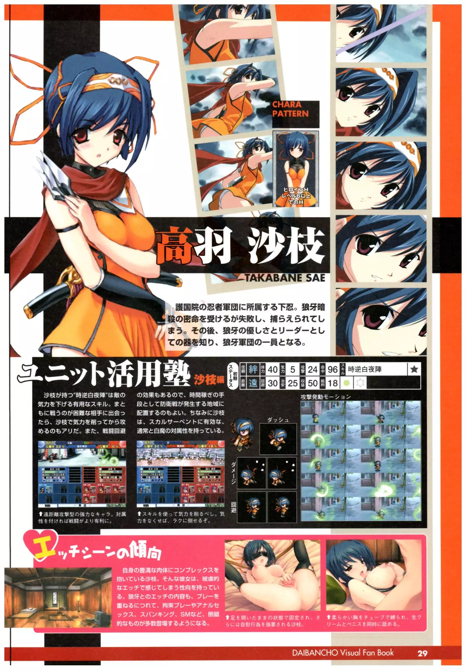 大番長 visual fan book