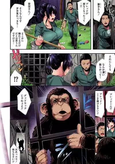 Shikoyakanaru Toki mo Hameru Toki mo