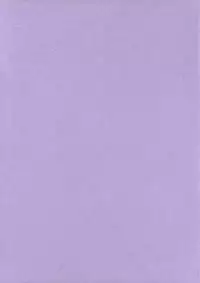 (CT13) [S-G.H. (Oona Mitsutoshi)] Suicida #13 (Kemeko Deluxe!)