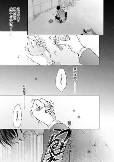 FANSERVICE COMPLETE BOOK