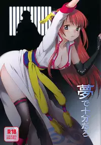 (Kabukichou Daishuukai) [S-FLAKE (Yukimitsu)] Yume de Juubundaro (Gintama)