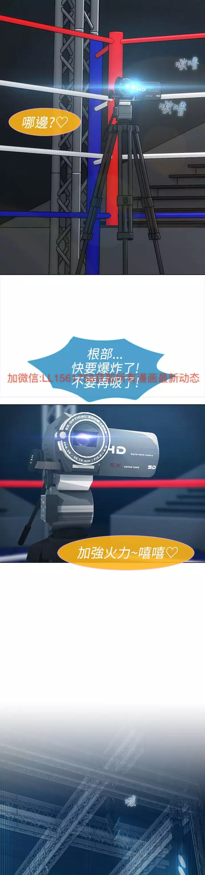 Lady Garden 淑女花苑 第一季