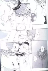 35°C (Gundam Wing) [Trowa X Wufei] YAOI