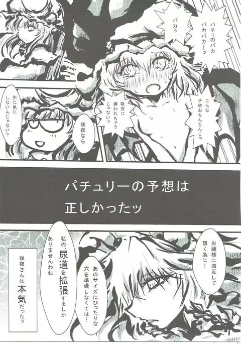 Sakuya-san no Oshikko no Ana Goudou ~Koko no Ana ga Mitai!~