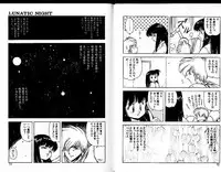 [Mii Akira] Lunatic Night 3
