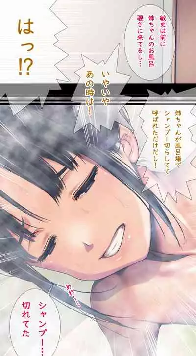 Komarigao na Bijin no Ane o Osotte Yaritai Houdai Yatta Hanashi