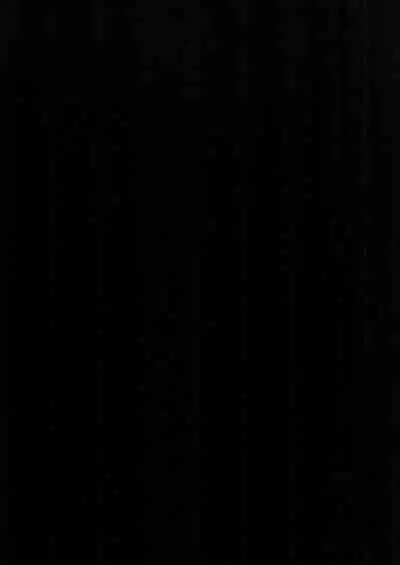 Ore no Koibito wa, Anaaki Kyoupan, Kousokugu, SeFri-tsuki.