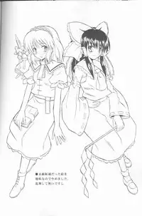 (C67) [Takaku-ya (Takaku Toshihiko)] Touhou Youjo Ranbu (Touhou Project)