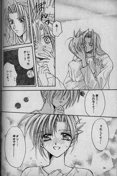 (C52) [Ringatei (Taki Ringa)] Cinderella Boy (Final Fantasy VII)