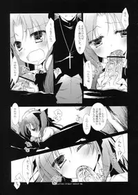 (COMIC1☆6) [FRAC (Motomiya Mitsuki)] PLAYING STRAY SHEEP (Fate/Zero)