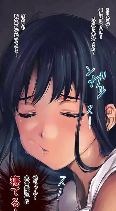 Komarigao na Bijin no Ane o Osotte Yaritai Houdai Yatta Hanashi