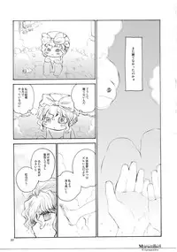 (C74) [Shoujo Zukin (Hatomugi Munmun)] Marecollect (Touhou Project)