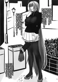 (C82) [Nozarashi (Nozarashi Satoru)] Do-S na Hime wa Shigokareru!?