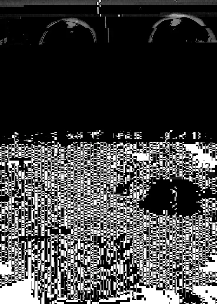 Metamorphosis | 八个月的蜕变