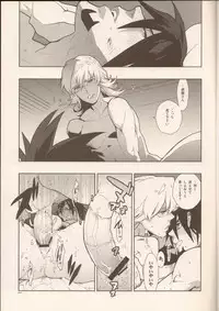 (C80) [Article 60 of Criminal Code (Shuhan)] RaKuGaKi./Monochrome.[20110812] (TIGER & BUNNY)