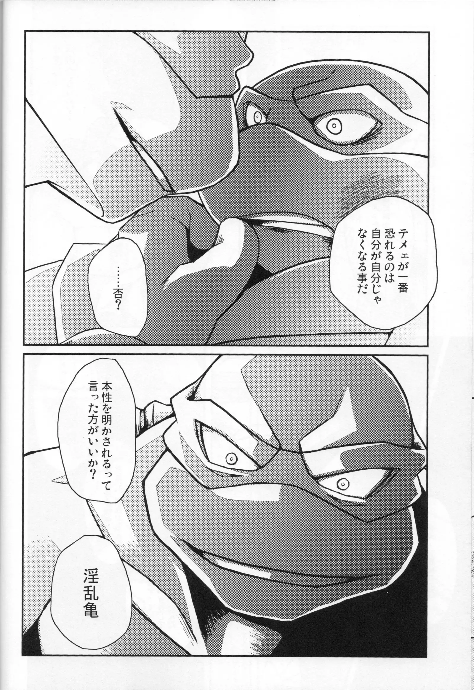 FALLEN - Raph vs Leo - Teenage Mutant Ninja Turtles, TMNT doujinshi
