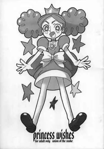 princess wishes
