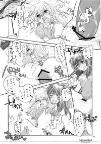 (C74) [Shoujo Zukin (Hatomugi Munmun)] Marecollect (Touhou Project)