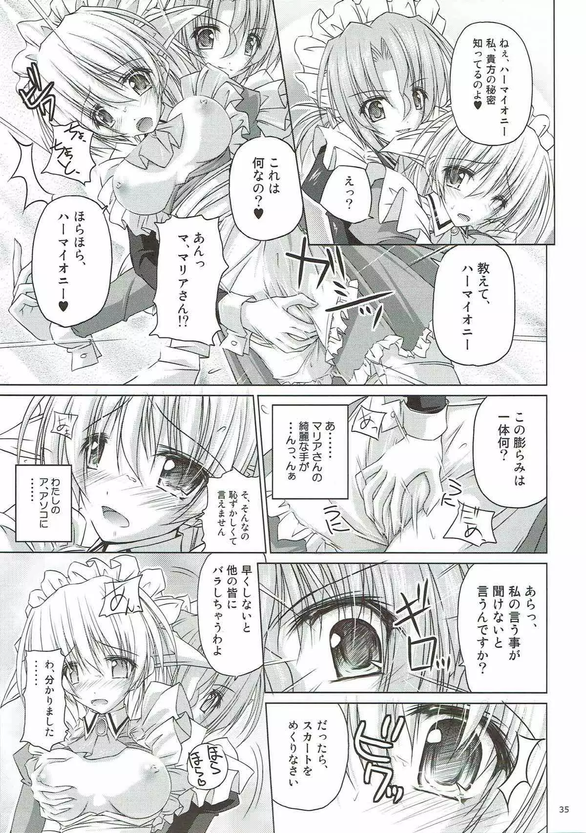 r.i.s archive 1 -ハヤテ本総集編-