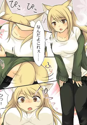 Your ability is the ability to fade humans into female foxes.