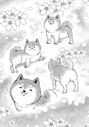 Shintaro ga Stocking Onani suru Hanashi