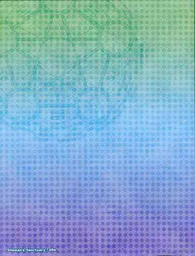 Shaman's Sanctuary -Miko no Seiiki- Booklet Manual