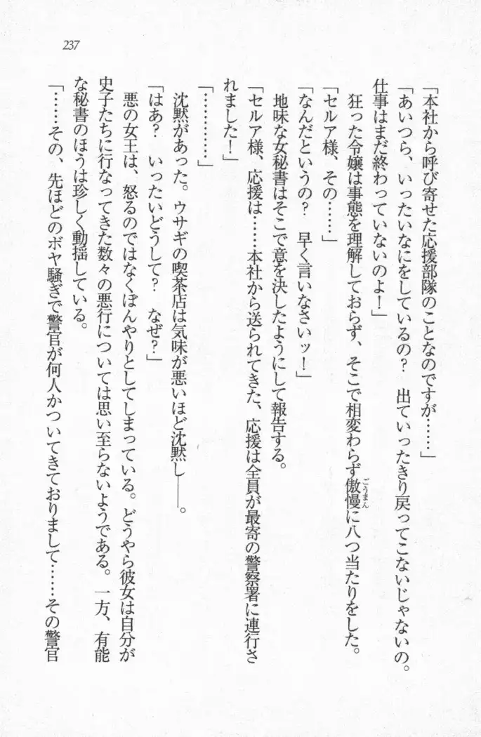 メイド喫茶　猫の隠れ家