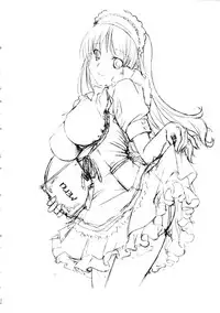 (C72) [Ikibata 49ers (Nishiki Yoshimune)] Zero Revo 2 (Zero no Tsukaima)