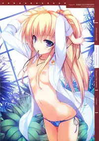 [Tigre Soft] Reminiscence Re：Collect Souki Yoyaku Tokuten Settei Shiryou Shuu