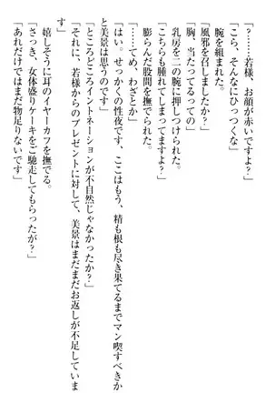 年上メイドの新婚日記