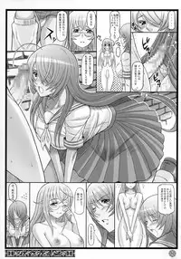 (C73) [Diogenes Club (Haikawa Hemlen)] Shokukan Mankan Zenseki (Ikkitousen)