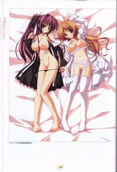 Hoshizora e Kakaru Hash visual fanbook