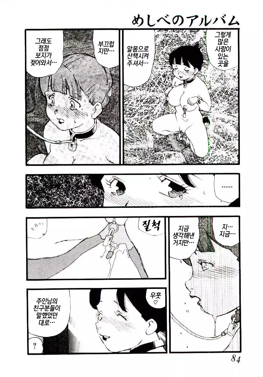 Meshi be no album |암꽃술 앨범