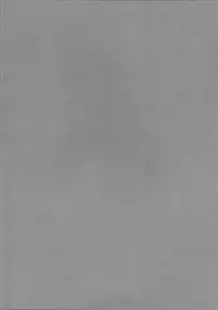 (C80) [kaibido (mokei)] Pachunii no Himitsu (Touhou Project) [Chinese] [靴下汉化组]