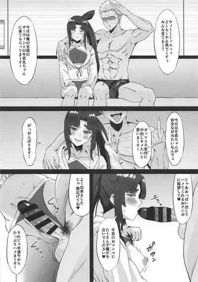 FDO Fate/Dosukebe Order VOL. 2.5 + C97 Kaijou Gentei Omakebon