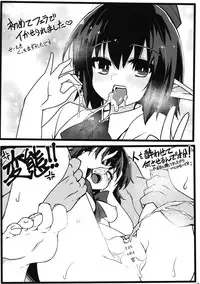 (C91) [Cola Bolt (Kotomuke Fuurin)] HOPE★TEXT (Touhou Project)