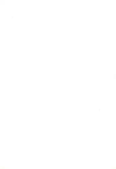 (C55) [Chinpoko Machine (Uchino Bungo)] Hone (Various)