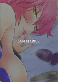 (C94) [Sagittarius (Shown)] Suiten Nikkou Anaterasu (Fate/Grand Order) [Chinese]