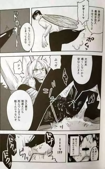 CherryTart (Anna Kotori) seiheki kōkangokko/itamen no o heya (Fullmetal Alchemist)