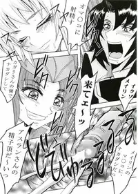 (CR37) [St. Rio (Kitty, Kouenji Rei)] COSMIC BREED 3 (Gundam SEED DESTINY)