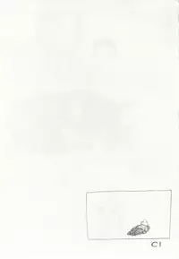 1月と7月 第2号 2015-01