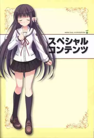 Hare Nochi Kitto Nanohana Biyori Visual Fanbook