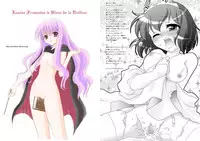 [Princess Project. (Niwatori Kokezou)] Zero no Taneuma (Zero no Tsukaima) [Digital]