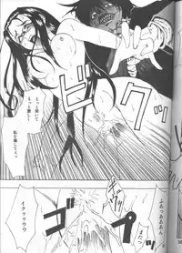 [FAKESTAR (Miharu)] CHAOS STEP 1+2 (Hellsing)