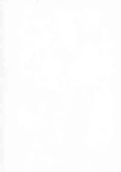 LADY REINES TIMES VOL. 1