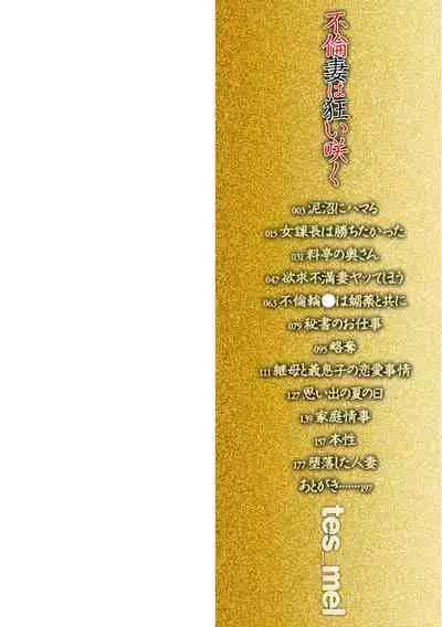 Furin Tsuma wa Kuruizaku