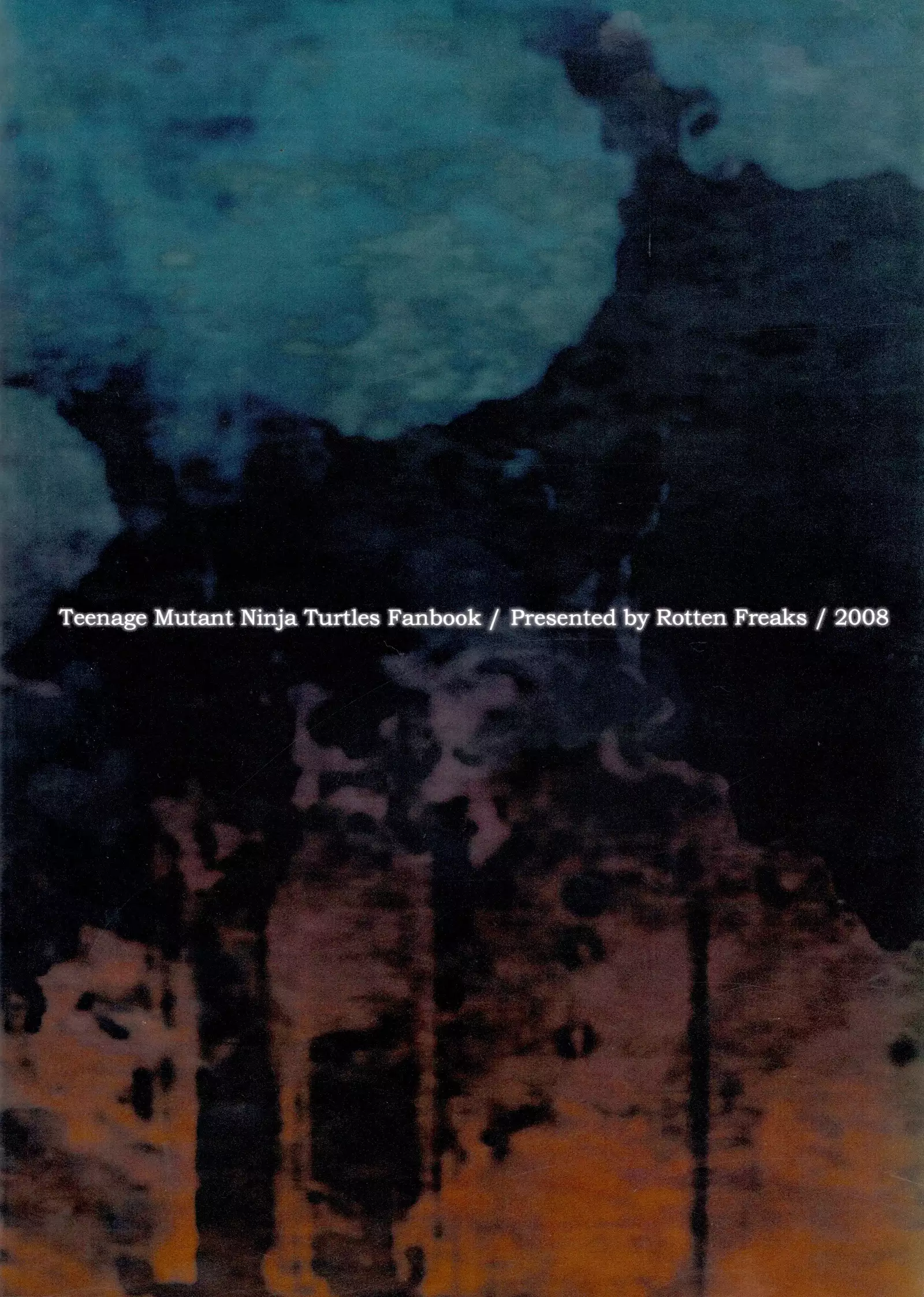 FALLEN - Raph vs Leo - Teenage Mutant Ninja Turtles, TMNT doujinshi