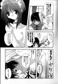 [Shikage Nagi] SUGAR CUBE DOLL